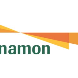 Bank Danamon Logo Vector