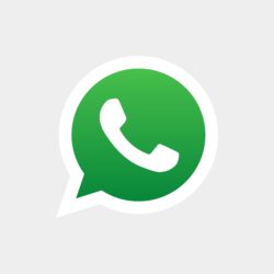 WhatsApp Logo Vector