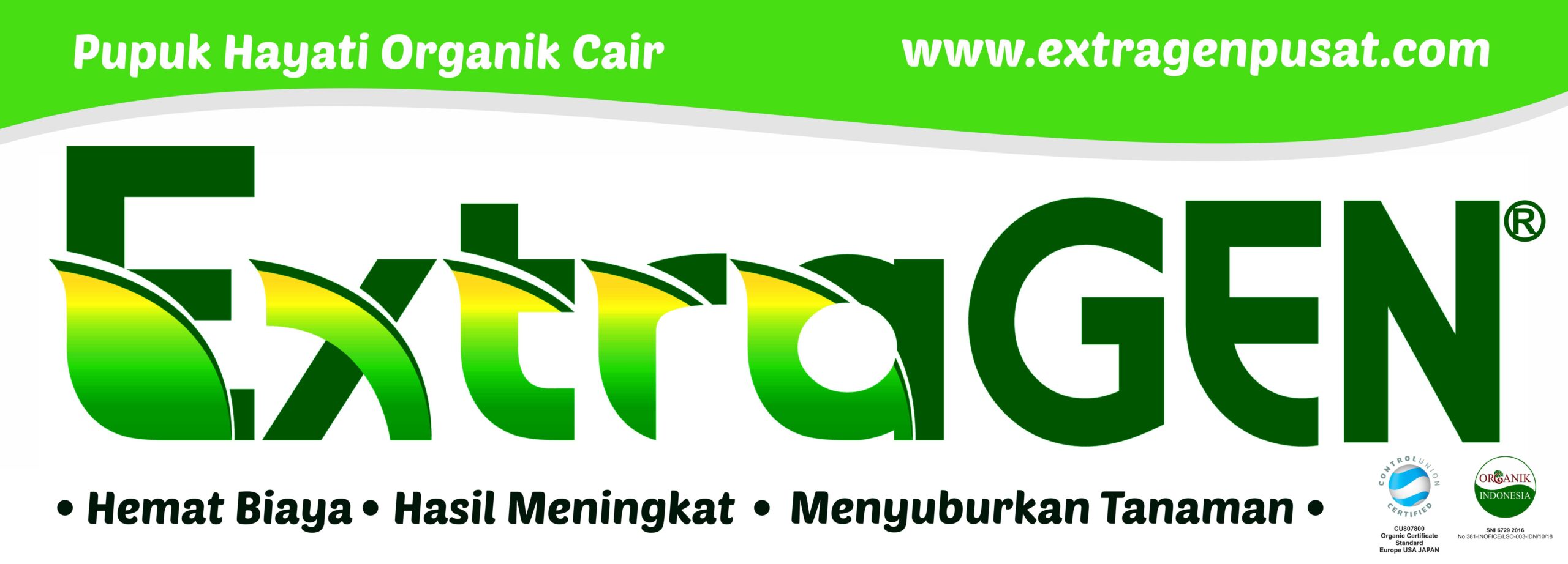 Extragen Spanduk Vector CorelDraw