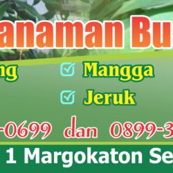 Spanduk Menjual Bibit Tanaman Buah Vector CDR