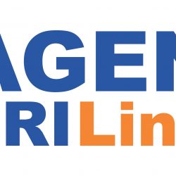 Agen BRI Link Logo Vector