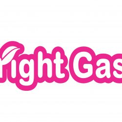 Bright Gas Logo Vector