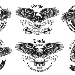 Eagle Skull Illustration Set Vector