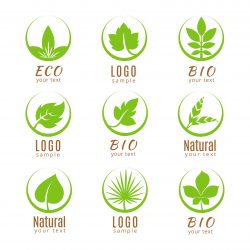Ecology Logo Green Leaves Vector