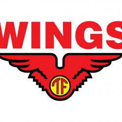 PT Wings Logo Vector