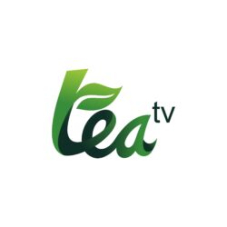 Tea TV Logo Vector