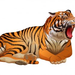 Tiger Illustrator Vector CorelDraw