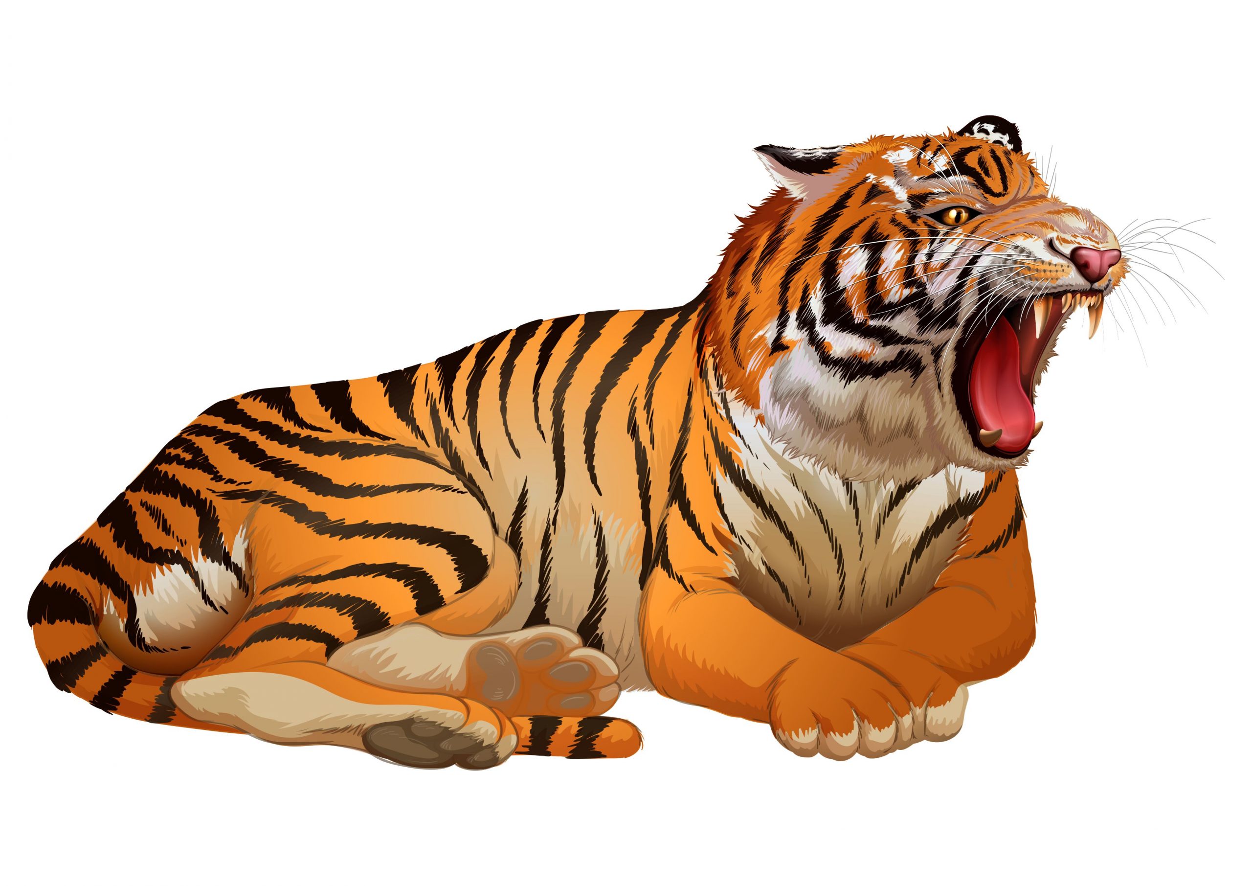 Tiger Illustrator Vector CorelDraw