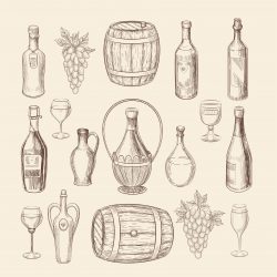 Vineyard Sketch Doodle Wine Vector